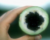 Jagua fruit